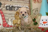 processed/8c21e2e5-3f84-4f03-b08e-65990c2d58d6/listing/6992af3f-10f4-414e-9281-f0dfde53d6bf/be92b738-beb9-4b78-a068-6b3b0721a693