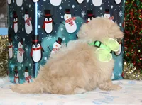 processed/8c21e2e5-3f84-4f03-b08e-65990c2d58d6/listing/6ea78e01-44be-4a0d-84c9-2e6806c8fecc/0a364f61-f149-4a23-91dc-6fcea742f222