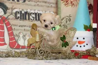 processed/8c21e2e5-3f84-4f03-b08e-65990c2d58d6/listing/6ea78e01-44be-4a0d-84c9-2e6806c8fecc/4bad0462-7b1d-4af0-b4af-3b7b165b78e1