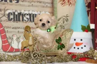 processed/8c21e2e5-3f84-4f03-b08e-65990c2d58d6/listing/6ea78e01-44be-4a0d-84c9-2e6806c8fecc/7052dc34-a602-4d2d-a2b1-74c0152ea449