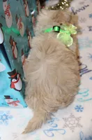 processed/8c21e2e5-3f84-4f03-b08e-65990c2d58d6/listing/6ea78e01-44be-4a0d-84c9-2e6806c8fecc/90f2b2de-babc-4c67-97a6-7e4619737cc1