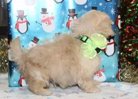 processed/8c21e2e5-3f84-4f03-b08e-65990c2d58d6/listing/6ea78e01-44be-4a0d-84c9-2e6806c8fecc/97a1fee3-5031-4c77-a6cc-3e9ef097af76