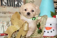 processed/8c21e2e5-3f84-4f03-b08e-65990c2d58d6/listing/6ea78e01-44be-4a0d-84c9-2e6806c8fecc/ba5d2c1a-76fd-484d-aef8-07b6ea5973d1