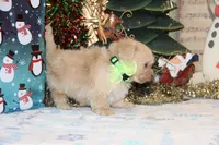 processed/8c21e2e5-3f84-4f03-b08e-65990c2d58d6/listing/6ea78e01-44be-4a0d-84c9-2e6806c8fecc/bcf4a475-4282-49ac-8fa6-d3c515dd2b46