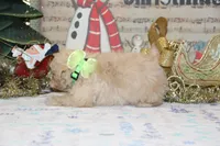 processed/8c21e2e5-3f84-4f03-b08e-65990c2d58d6/listing/6ea78e01-44be-4a0d-84c9-2e6806c8fecc/cad0f098-b9e8-4d35-9961-b9c7c5a6c7ed