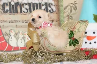 processed/8c21e2e5-3f84-4f03-b08e-65990c2d58d6/listing/9112ce0e-310d-45ea-b1e3-908af22d1f45/453eeb66-03e1-43d9-af46-71bef346bdc1