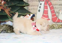 processed/8c21e2e5-3f84-4f03-b08e-65990c2d58d6/listing/9112ce0e-310d-45ea-b1e3-908af22d1f45/5a7f3ed0-dc9a-4061-9d8e-a44c8d1f2e44