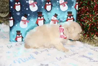 processed/8c21e2e5-3f84-4f03-b08e-65990c2d58d6/listing/9112ce0e-310d-45ea-b1e3-908af22d1f45/7d36f7e3-abd9-4135-8e38-7407c3096113