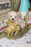 processed/8c21e2e5-3f84-4f03-b08e-65990c2d58d6/listing/9112ce0e-310d-45ea-b1e3-908af22d1f45/9688f545-4e85-4d8b-a83c-4ddf84c258e7