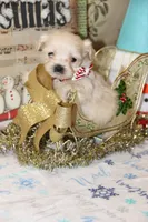 processed/8c21e2e5-3f84-4f03-b08e-65990c2d58d6/listing/9112ce0e-310d-45ea-b1e3-908af22d1f45/d0e0c8ff-da7c-4817-bd03-04a7b9179476