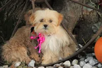 processed/8c21e2e5-3f84-4f03-b08e-65990c2d58d6/listing/a9a63f53-e9db-4124-bef5-478cf275547c/00567833-bc8d-44ac-8f4c-3649b2e3650d