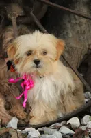 processed/8c21e2e5-3f84-4f03-b08e-65990c2d58d6/listing/a9a63f53-e9db-4124-bef5-478cf275547c/1e818716-3a6c-4349-95ea-876659332c70