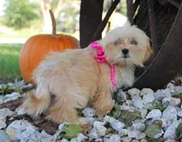 processed/8c21e2e5-3f84-4f03-b08e-65990c2d58d6/listing/a9a63f53-e9db-4124-bef5-478cf275547c/242e9a87-39c7-41c3-85eb-6572eac4f4fe