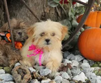 processed/8c21e2e5-3f84-4f03-b08e-65990c2d58d6/listing/a9a63f53-e9db-4124-bef5-478cf275547c/26ab1fc4-4599-475c-90a8-4774c3ddcc7d