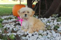 processed/8c21e2e5-3f84-4f03-b08e-65990c2d58d6/listing/a9a63f53-e9db-4124-bef5-478cf275547c/eeb5c537-5468-4c63-9243-38ded032a3f7