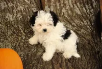 processed/8c21e2e5-3f84-4f03-b08e-65990c2d58d6/listing/d697c50b-ee08-42c9-9a46-f15f20d104d5/017eaf60-bba6-4ce9-9796-76ee07459108