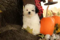 processed/8c21e2e5-3f84-4f03-b08e-65990c2d58d6/listing/d697c50b-ee08-42c9-9a46-f15f20d104d5/7d5d41b8-5d65-45bc-8edb-b777ac06f432