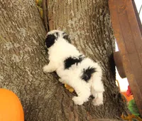 processed/8c21e2e5-3f84-4f03-b08e-65990c2d58d6/listing/d697c50b-ee08-42c9-9a46-f15f20d104d5/8701687c-c17d-410c-b10d-844bb8778675