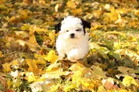 processed/8c21e2e5-3f84-4f03-b08e-65990c2d58d6/listing/d697c50b-ee08-42c9-9a46-f15f20d104d5/8af45e90-ae26-438a-aa94-c3ae306e31bd