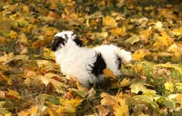 processed/8c21e2e5-3f84-4f03-b08e-65990c2d58d6/listing/d697c50b-ee08-42c9-9a46-f15f20d104d5/c5314de4-a479-4fd9-8e95-698ad4d1dc8e