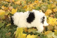 processed/8c21e2e5-3f84-4f03-b08e-65990c2d58d6/listing/d697c50b-ee08-42c9-9a46-f15f20d104d5/dda251fb-feb0-4ca5-b07b-e43c2eec8cfb