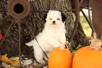 processed/8c21e2e5-3f84-4f03-b08e-65990c2d58d6/listing/d697c50b-ee08-42c9-9a46-f15f20d104d5/e291858f-b4a8-41ab-8806-c04e3bd645a5