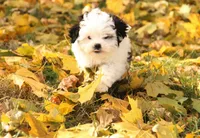 processed/8c21e2e5-3f84-4f03-b08e-65990c2d58d6/listing/d697c50b-ee08-42c9-9a46-f15f20d104d5/e5127022-a6a7-4b84-9712-cdd4d0f02ce3