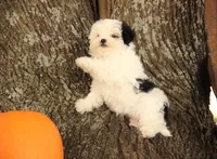 processed/8c21e2e5-3f84-4f03-b08e-65990c2d58d6/listing/d697c50b-ee08-42c9-9a46-f15f20d104d5/eb7ed801-7462-4976-9992-3e474335142b