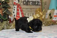 processed/8c21e2e5-3f84-4f03-b08e-65990c2d58d6/listing/da252f37-7b48-4b6e-8bd6-d18186d458ce/2358deef-a52e-4b26-aab7-dcb69658c918