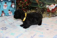 processed/8c21e2e5-3f84-4f03-b08e-65990c2d58d6/listing/da252f37-7b48-4b6e-8bd6-d18186d458ce/8dfffd1f-bee7-4eea-aa13-2c11055f6399