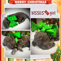 processed/8c2aeef1-a0c8-48f1-8447-332af675e477/listing/04f9b19a-3dbc-40a9-9a06-f2ea3cbfa723/934d3e8b-cf92-4186-b85b-471dc5dcb81a