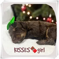 processed/8c2aeef1-a0c8-48f1-8447-332af675e477/listing/04f9b19a-3dbc-40a9-9a06-f2ea3cbfa723/b0b81a6a-e5ad-4fc8-aeb0-6fd0cee31023