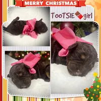 processed/8c2aeef1-a0c8-48f1-8447-332af675e477/listing/770f09ba-705b-43a5-830c-b8748f1320f5/1c2d0c38-7c58-4f0d-99af-7823e9e63c49