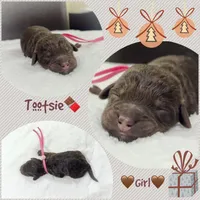 processed/8c2aeef1-a0c8-48f1-8447-332af675e477/listing/770f09ba-705b-43a5-830c-b8748f1320f5/50e53110-fe46-4fb0-8518-e69dd2c1f771