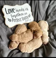 processed/8c404262-76d9-4094-ad04-2b955cd9b600/facility/e976b098-b2b1-4f8c-9f0c-b8b13ed4a639