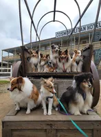 processed/8c4a1e02-f2db-482d-8afb-15d9e44cd6dc/listing/b5902db6-0901-433f-827f-e56ebaebbe65/36428930-c114-41f4-8714-3e76ed96b7d2