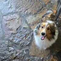 processed/8c4a1e02-f2db-482d-8afb-15d9e44cd6dc/listing/b5902db6-0901-433f-827f-e56ebaebbe65/521976f9-769d-424e-b312-d29837d73e61