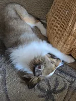 processed/8c4a1e02-f2db-482d-8afb-15d9e44cd6dc/listing/b5902db6-0901-433f-827f-e56ebaebbe65/b85b15a8-55d7-40bc-a710-e1d536adf790