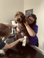 processed/8c558040-b084-4d07-b675-a1d3095d880f/facility/52f964fe-1bce-4e86-aaba-016e5de3a6d7