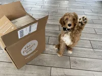 processed/8c558040-b084-4d07-b675-a1d3095d880f/facility/58b5cae1-18ba-4e18-8de6-8ee1c6b934a4