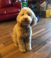 processed/8c558040-b084-4d07-b675-a1d3095d880f/facility/61c46ef8-089d-47df-aff9-7a7df5f0e566