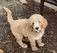 processed/8c558040-b084-4d07-b675-a1d3095d880f/facility/ea31b78c-dcef-4994-a650-eb21aea1d3f8