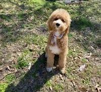 processed/8c558040-b084-4d07-b675-a1d3095d880f/facility/edf1d15c-cfe0-4e97-9c5c-d239e095aff2