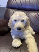 processed/8c558040-b084-4d07-b675-a1d3095d880f/facility/f24313ea-ad09-4c9a-b4ab-1bd6b2a20cff