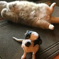 processed/8c581eb3-63f3-435e-9663-a8024d27fbc5/facility/1df39260-de74-42e7-9f5a-c00efa822a3e