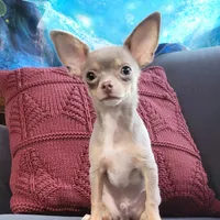 processed/8c581eb3-63f3-435e-9663-a8024d27fbc5/facility/2826f4a0-695c-4a68-a5d7-c36f55e3baba