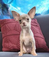 processed/8c581eb3-63f3-435e-9663-a8024d27fbc5/facility/2826f4a0-695c-4a68-a5d7-c36f55e3baba