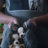 processed/8c581eb3-63f3-435e-9663-a8024d27fbc5/facility/329d4c3f-a126-438f-8fe7-bd204a70f1a1