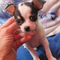 processed/8c581eb3-63f3-435e-9663-a8024d27fbc5/facility/3757fcb0-95ca-4f6a-a760-56f9dd3439c6