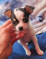 processed/8c581eb3-63f3-435e-9663-a8024d27fbc5/facility/3757fcb0-95ca-4f6a-a760-56f9dd3439c6